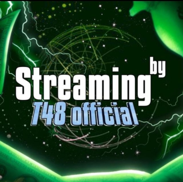 T48Game logo